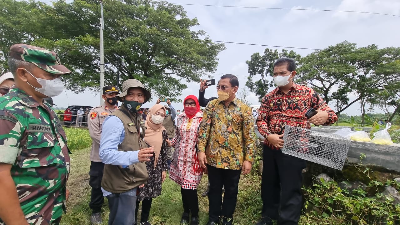 Genjot Produksi Padi, Kementan dan Komisi IV DPR RI Lakukan Pengendalian Hama Tikus