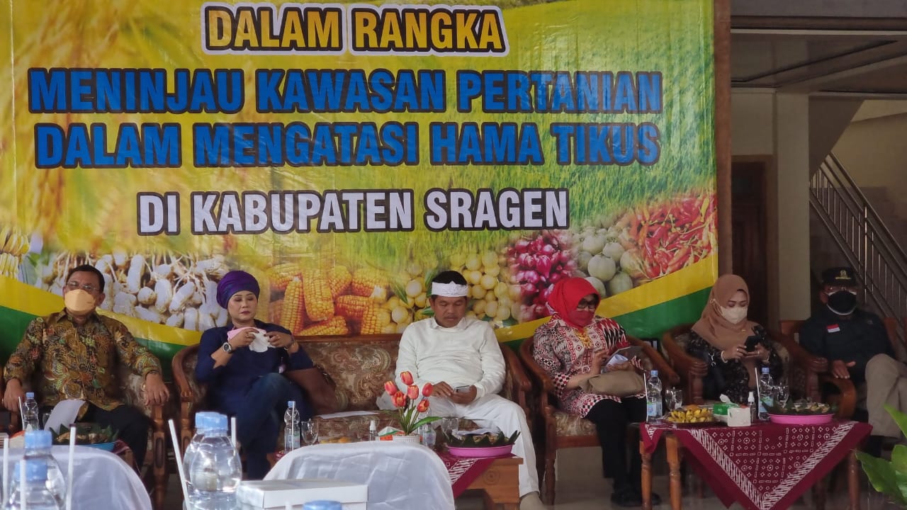 Kunjungi Sragen, Kementan dan Komisi IV DPR RI Pacu Pengendalian Tikus Secara Tepat dan Aman