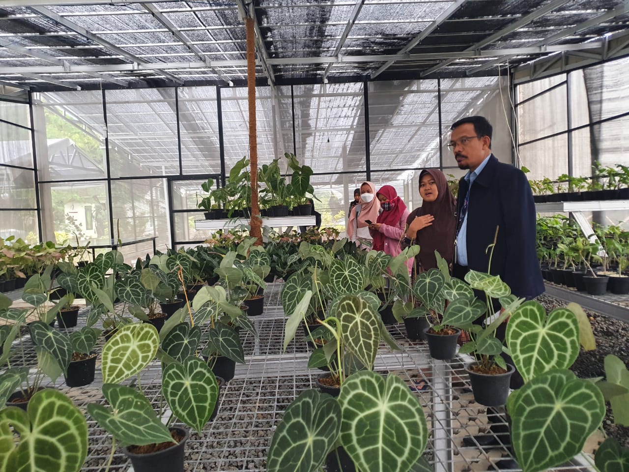Jadi Sumber Pendapatan Masyarakat, Kementan Dukung Penuh Urban Farming