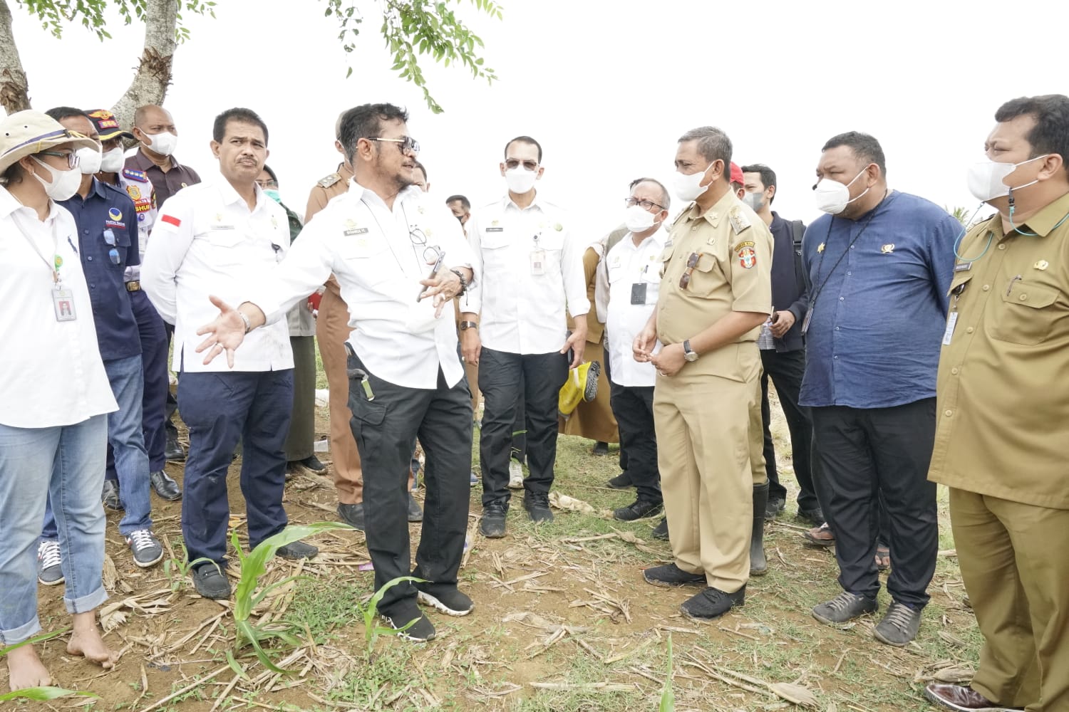 Kementan Sarankan Petani Jagung di Pariaman Ikut Program AUTP