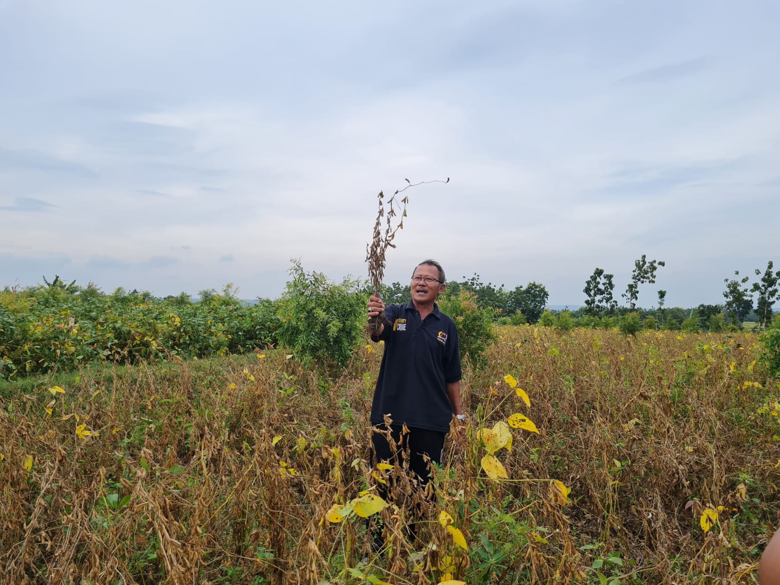 Grobogan Ditargetkan Mampu Suplai Kebutuhan Benih Kedelai Nasional