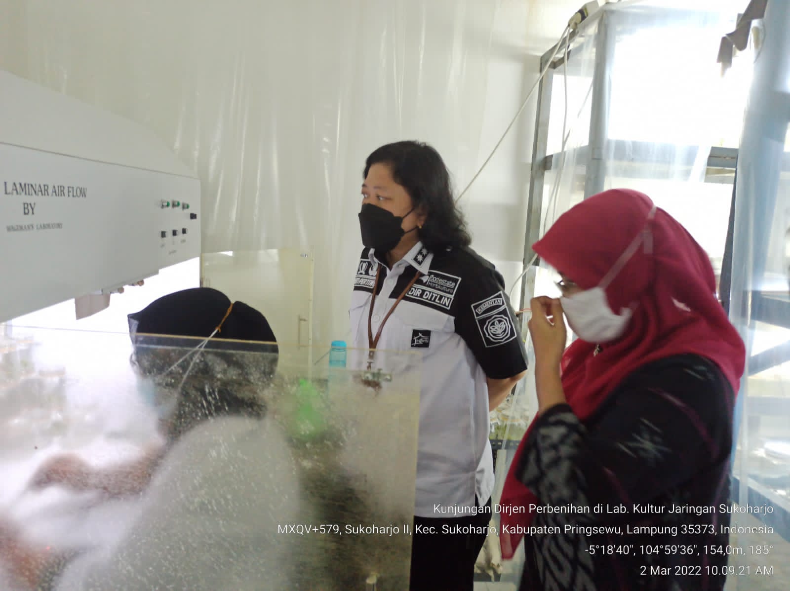 Kelompok Wanita Tani dengan Laboratorium Kultur Jaringan  Sederhananya Siap Mendukung Penyediaan Benih Pisang Bermutu