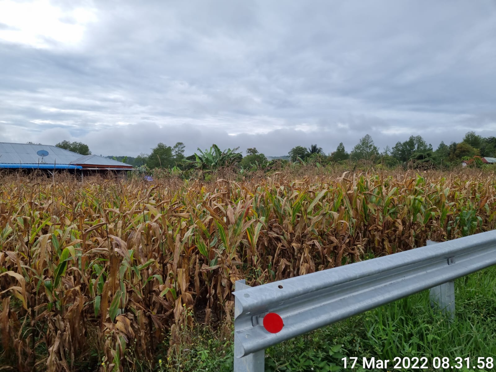SISTIM PERTANIAN TERPADU BONE BOLANGO JADI TUJUAN AGROWISATA DI GORONTALO