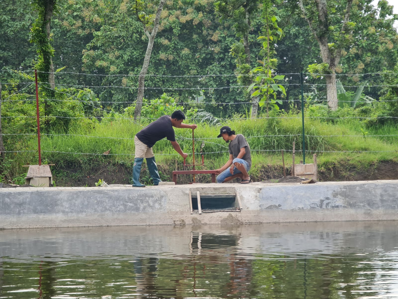 Gagal Panen Akibat Hama Tikus, Kementan Ingatkan Petani Madiun Pentingnya AUTP