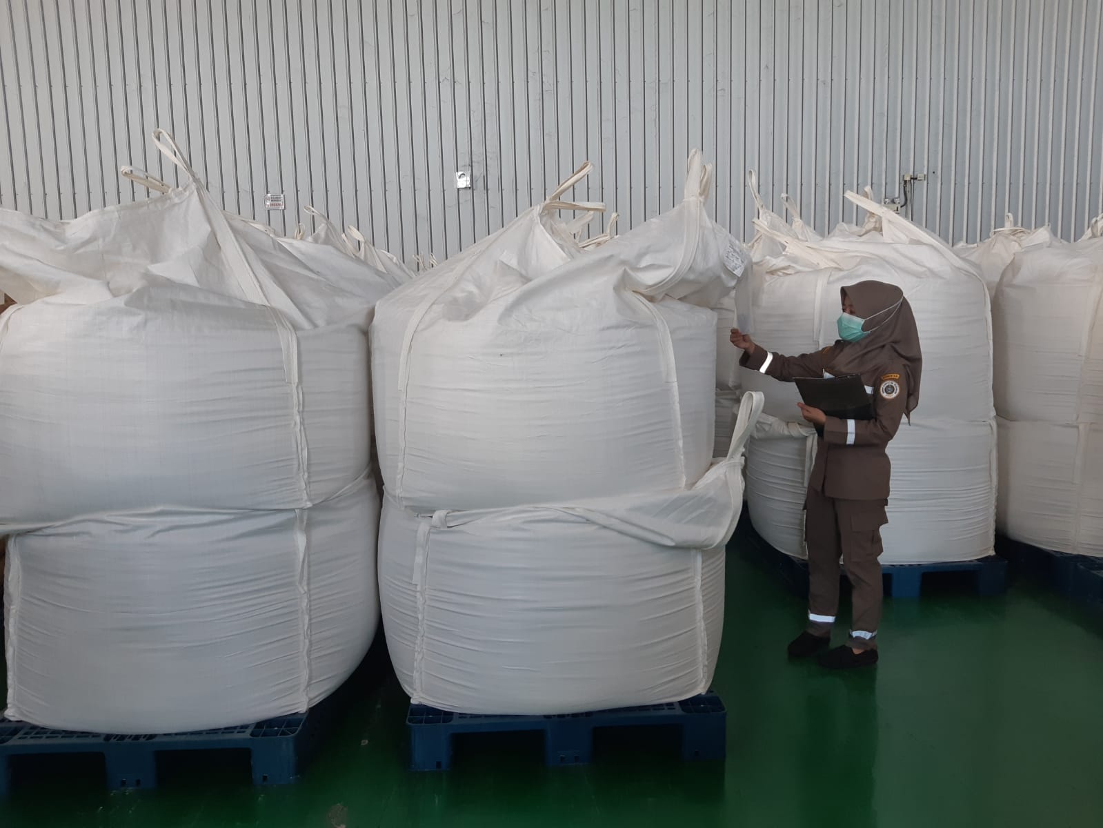 Dalam Sepekan, Karagenan Sulsel  Tembus 2 Negara Baru