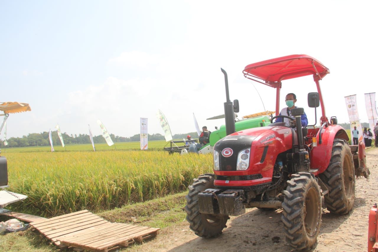 Pengamat : Infrastruktur Pertanian Bantu Ketersediaan Stok Pangan