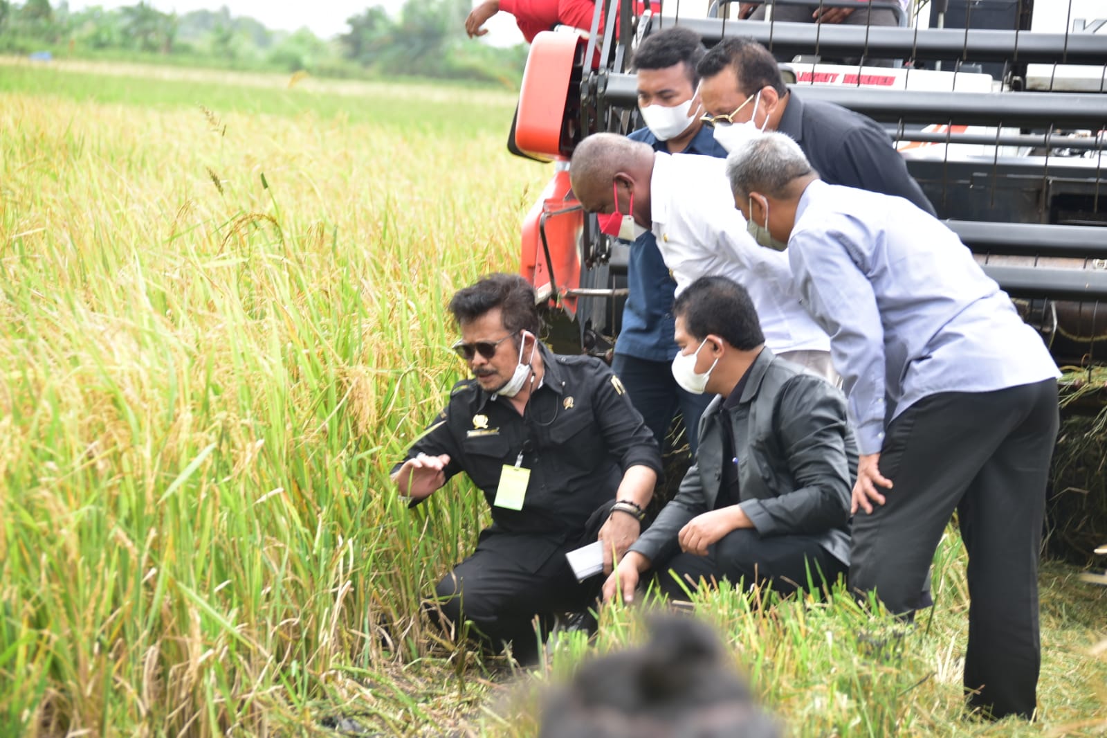 Antisipasi Kemarau 2022, Kementan Dorong Gerakan Panen Air