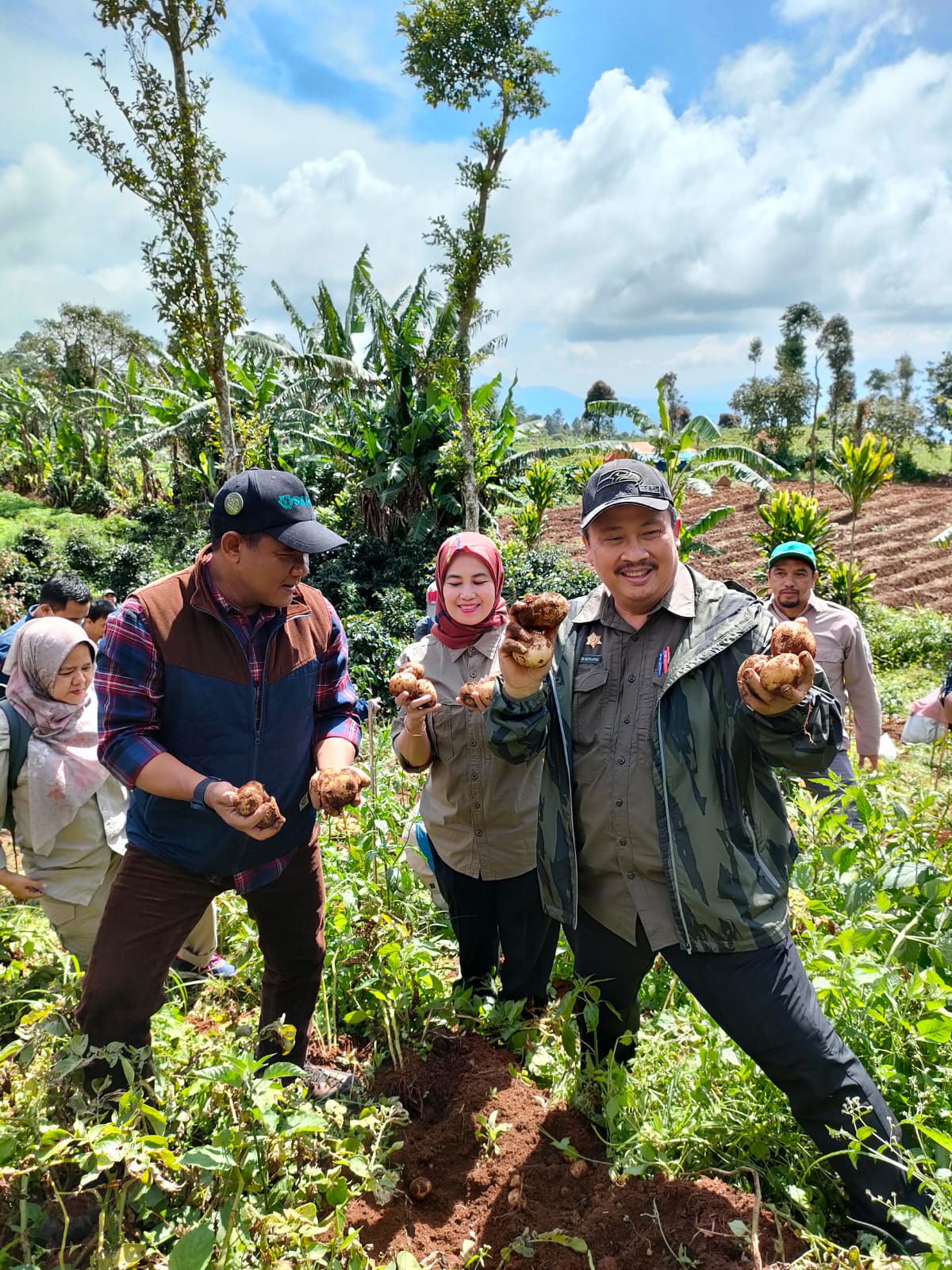 Dukung Ketersedian Pangan, Mahasiswa Unhas Terjun Langsung Tanam Kedelai