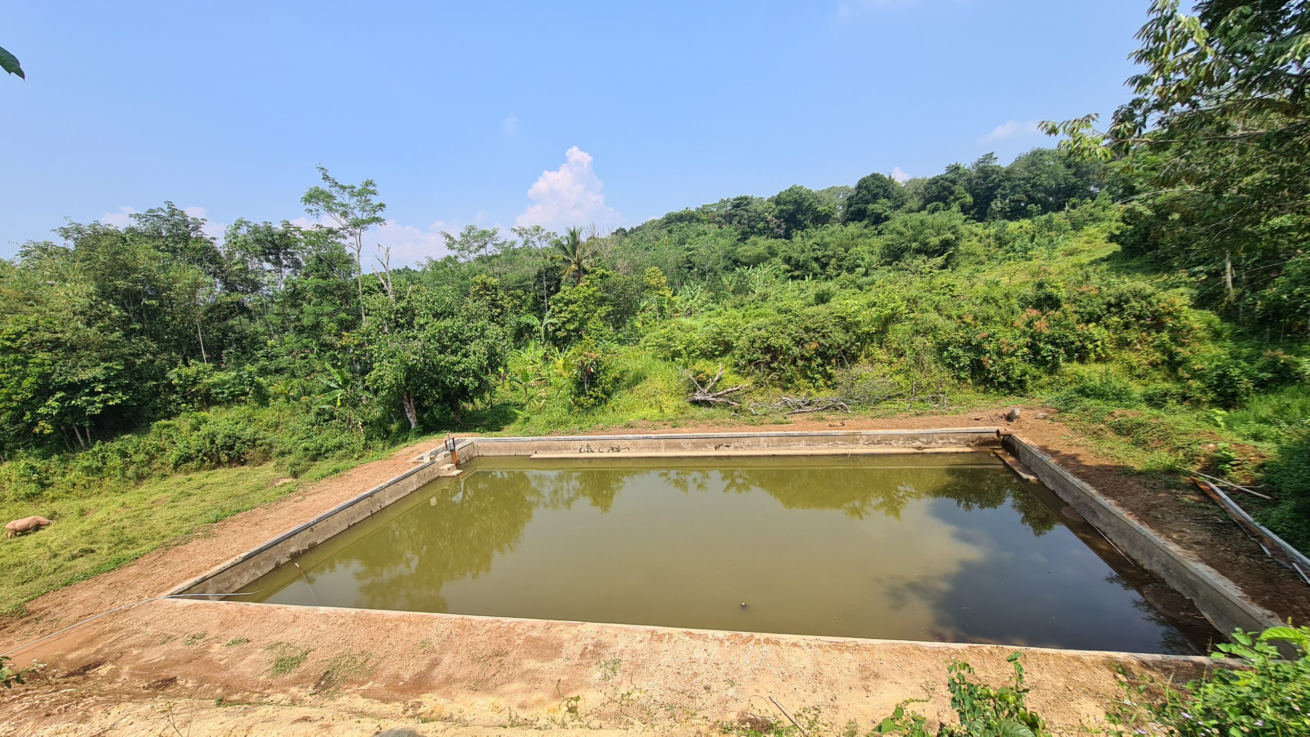 Embung Dongkrak Produktivitas Pertanian Petani Lebak