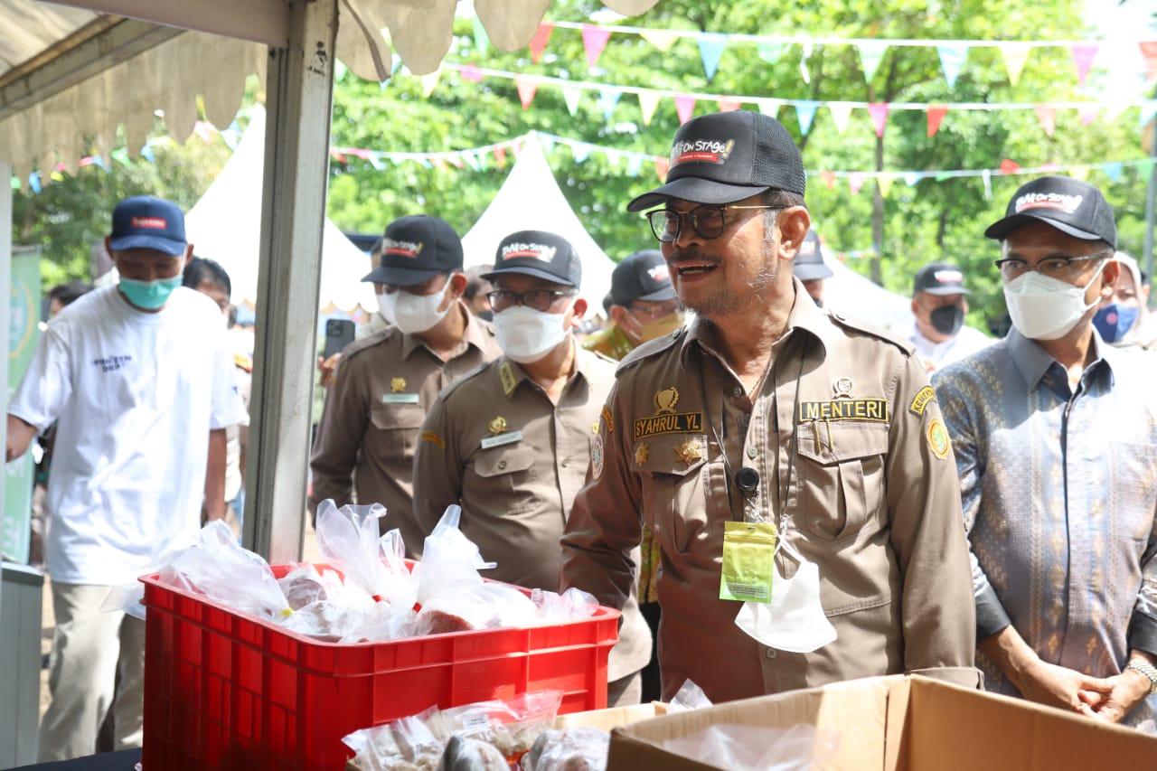 KTNA: Produksi Jagung Nasional Mampu Penuhi Kebutuhan Pakan