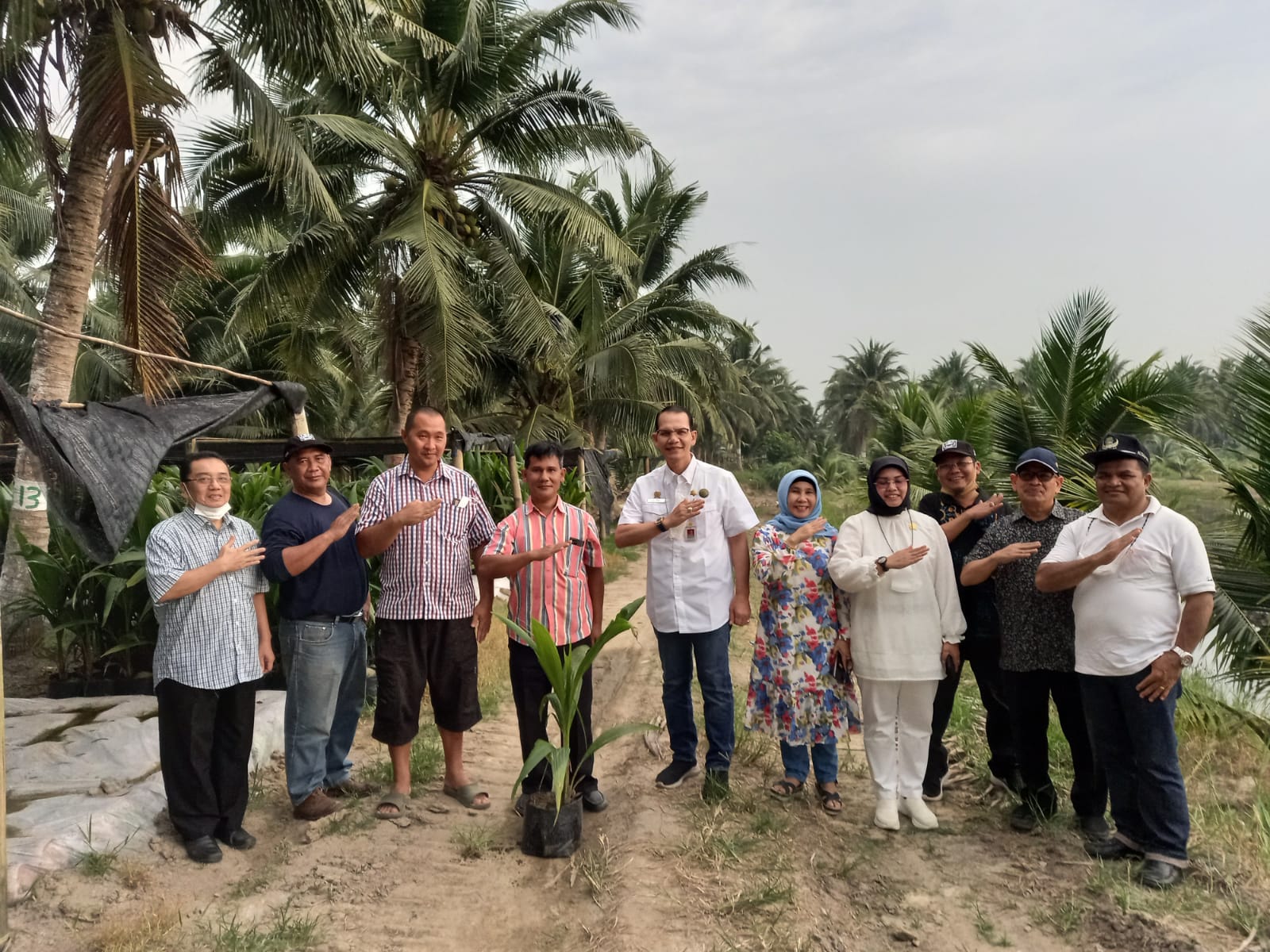 Pastikan Benih Yang Beredar Bersertifikat dan Berlabel Resmi, Kementan Monitoring Produsen Benih Tanaman Perkebunan