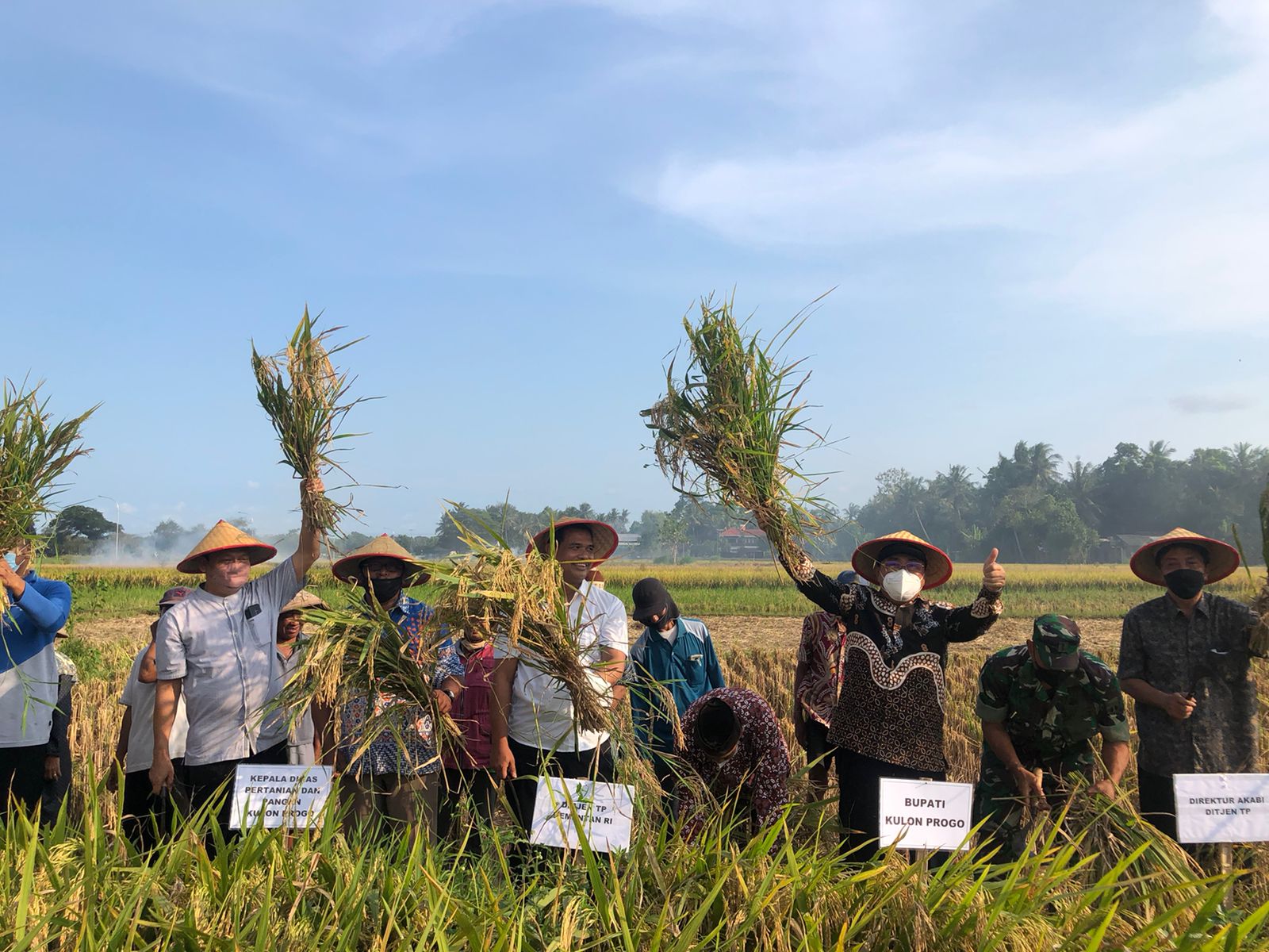 Libur Tetap Produktif, Panen Padi dan Tanam Kedelai di Kulon Progo