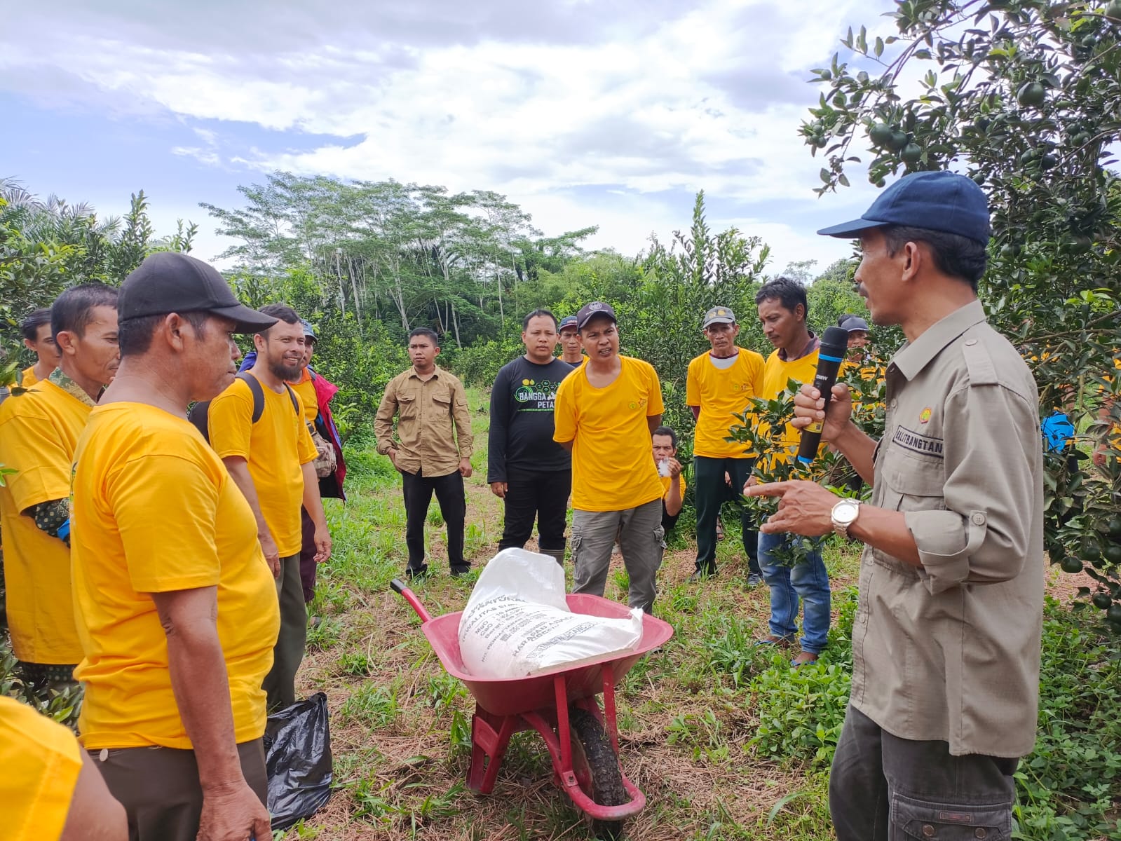 Dorong Jeruk Sambas ke Pasar Ekspor, Kementan Gelar Bimbingan Teknis Bujangseta