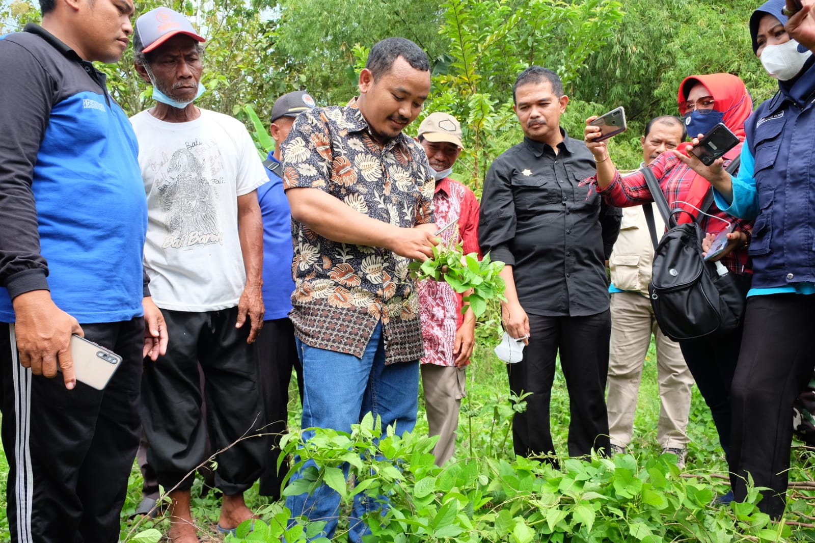 Upaya Tingkatkan Produksi, Kementan Lakukan Demplot Uji Bahan Alami Di Kabupaten Blora