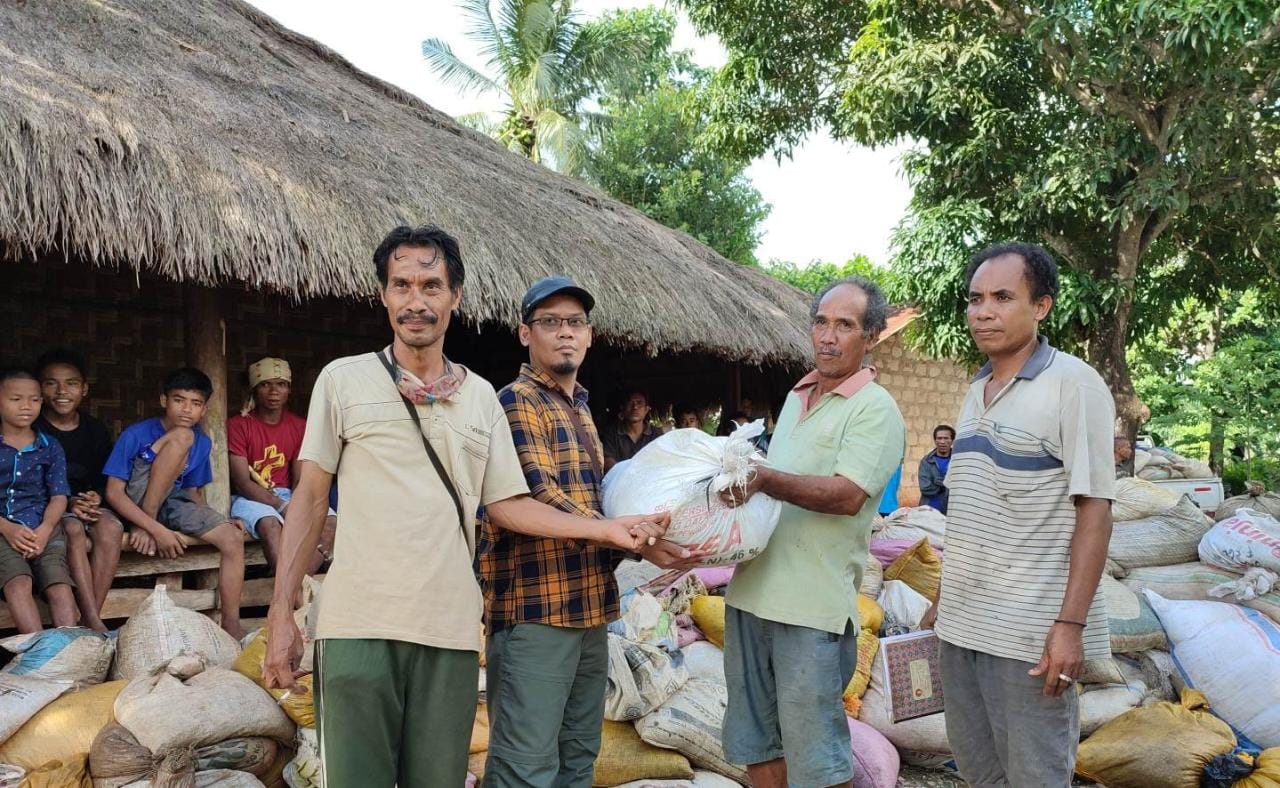 Kementan Bersama Petani Sumba Barat Daya Berhasil Tangkap Belalang Kembara Hingga 8 Ton