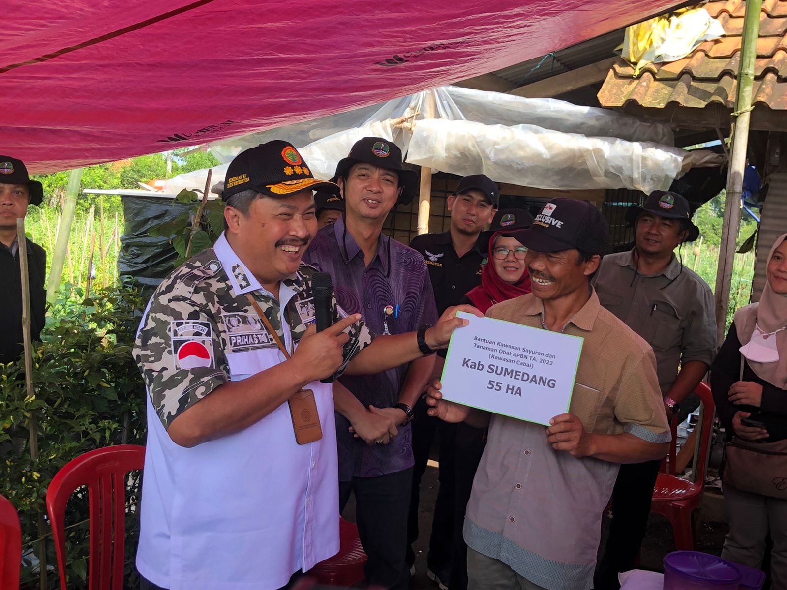 Jaga Stabilitas Stok Cabai, Kementan Percepat Tanam dan Lakukan Gerdal OPT Serentak