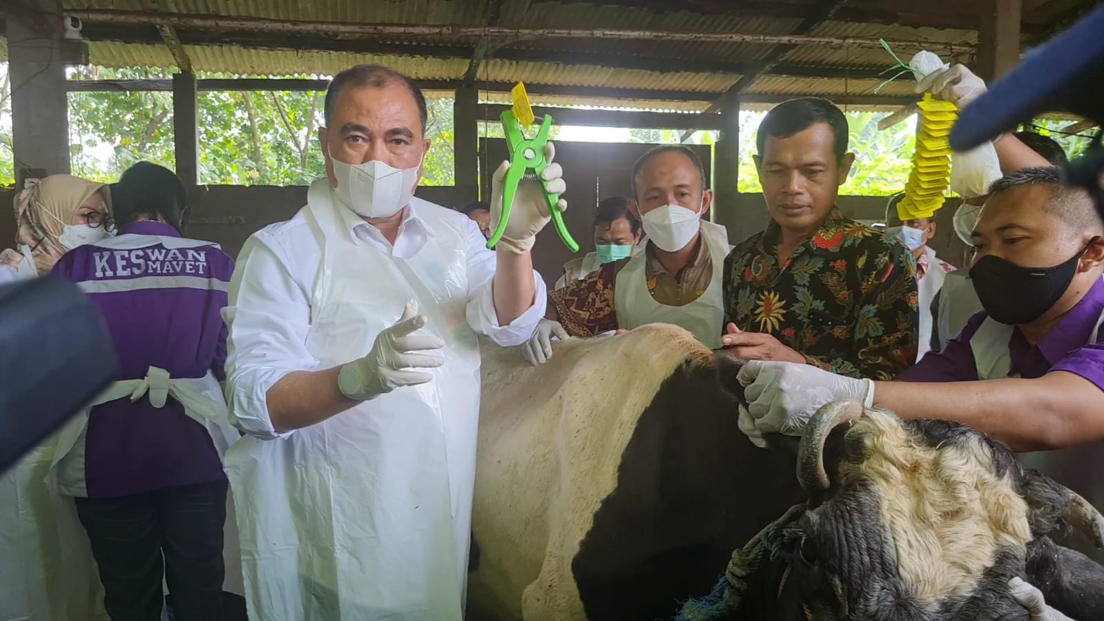 Hari ini Vaksinasi PMK Secara Nasional dimulai di Jawa Timur