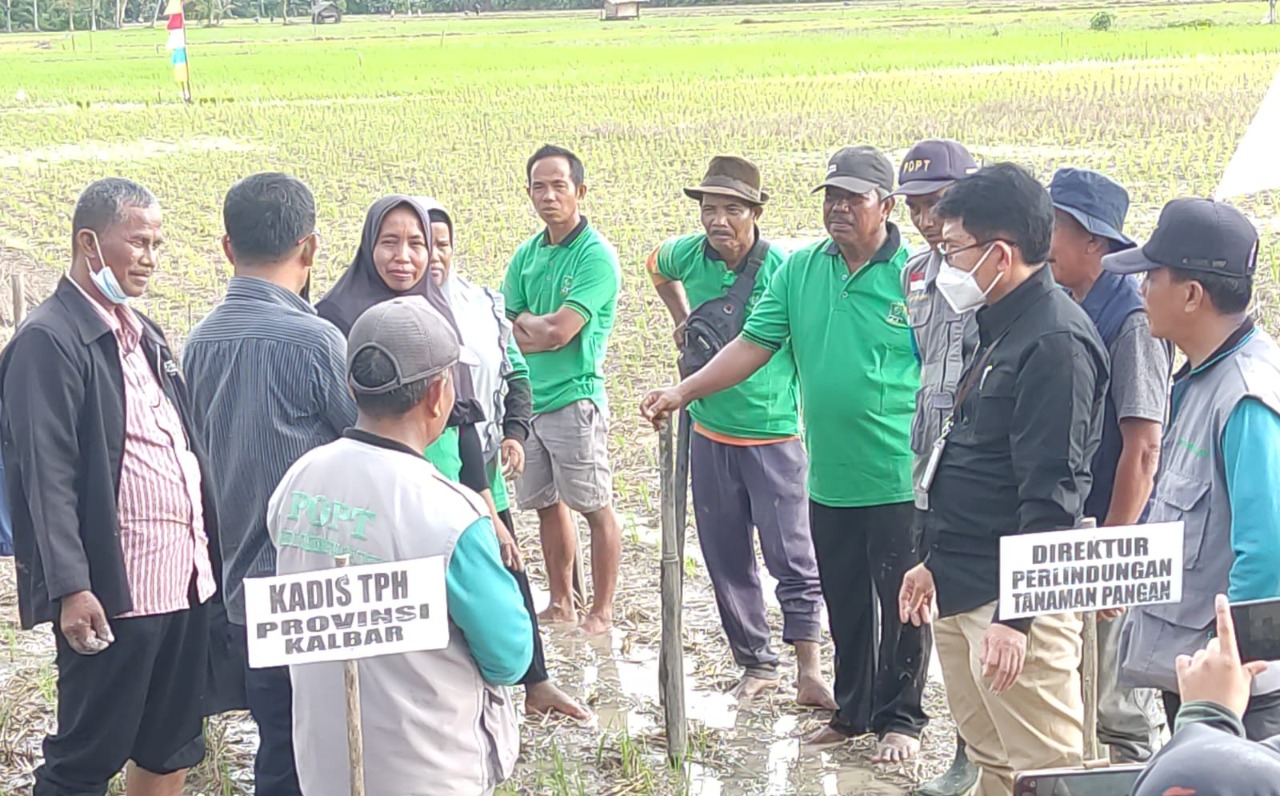 Kementan Terus Dorong Pengamanan OPT dengan Dem Area BTS