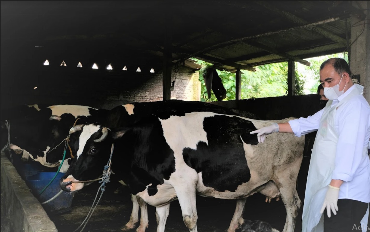 Hadirnya Vaksin Menjadi Tanda Keseriusan Pemerintah Tangani PMK