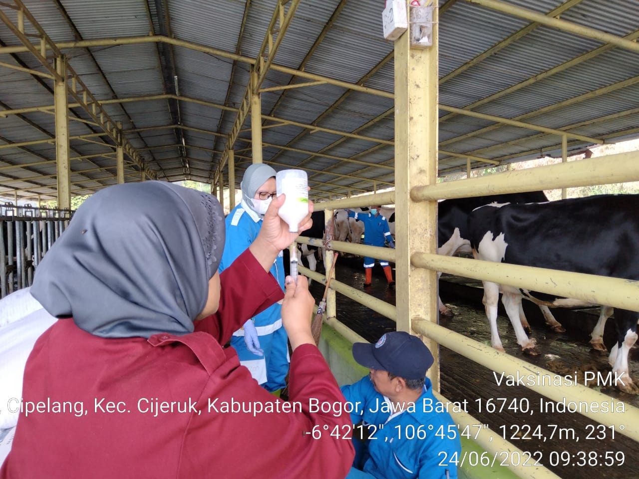 Wagub Sumbar Apresiasi Gerak Cepat Kementan Siapkan Vaksin PMK
