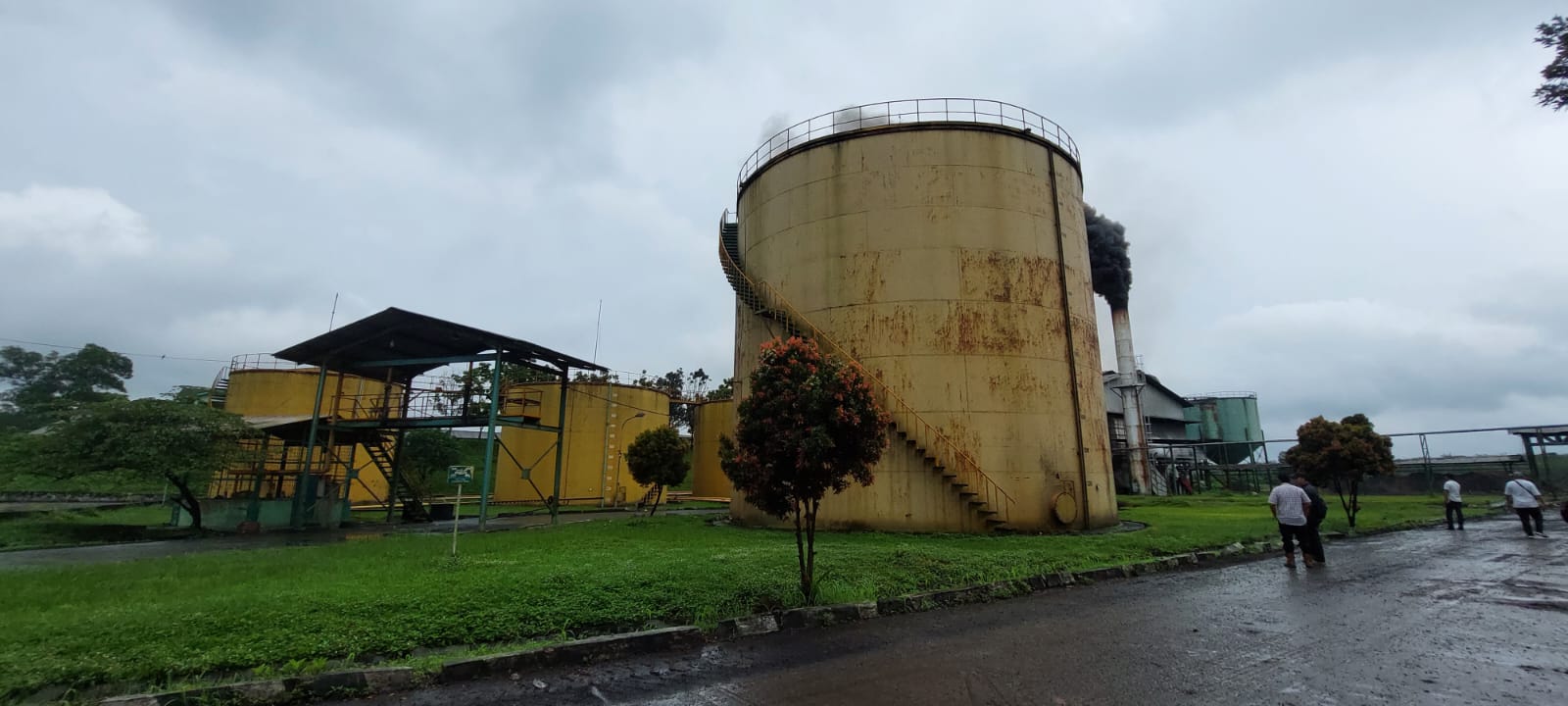 Tak Tinggal Diam, Pemerintah Sigap Tinjau Langsung Harga TBS Pekebun