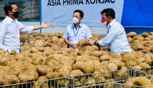 Mei 2022, Ekspor Pertanian Tumbuh 20,32 Persen (YoY)