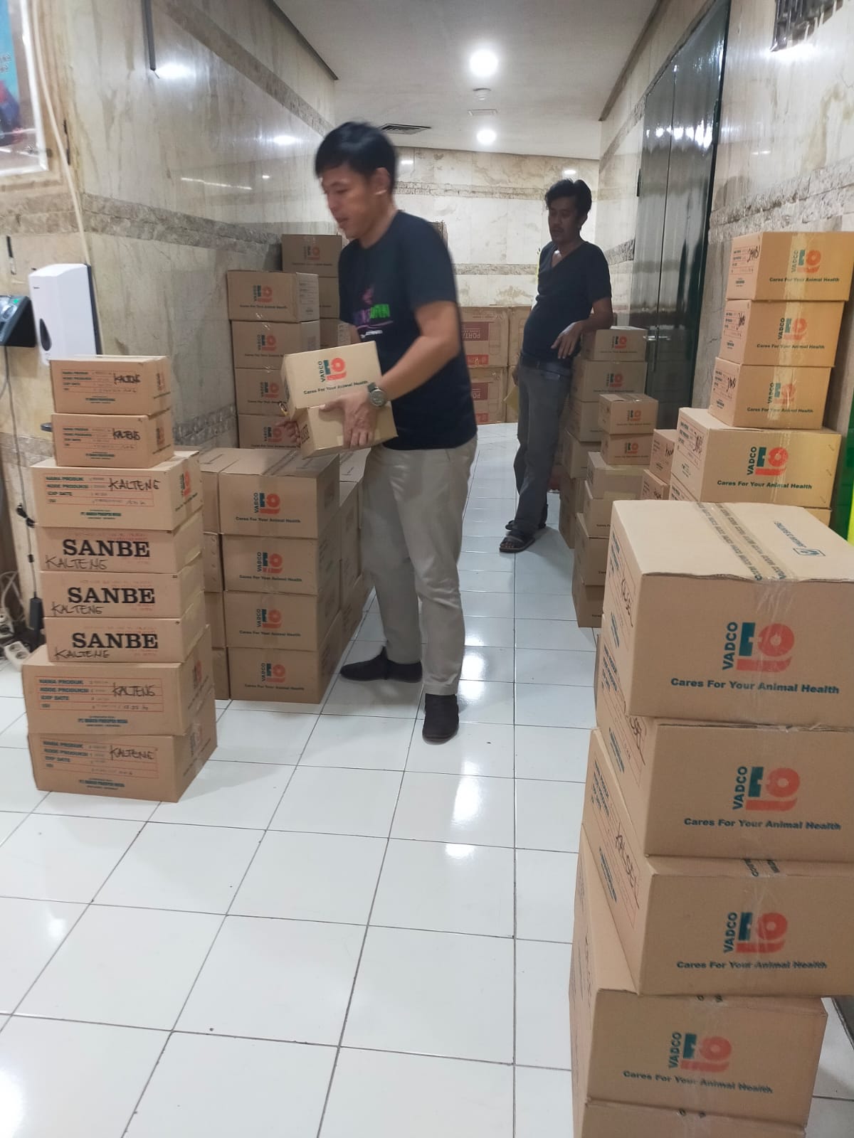Kementan Perbanyak Distribusi Obat-Obatan ke 19 Provinsi Terdampak PMK