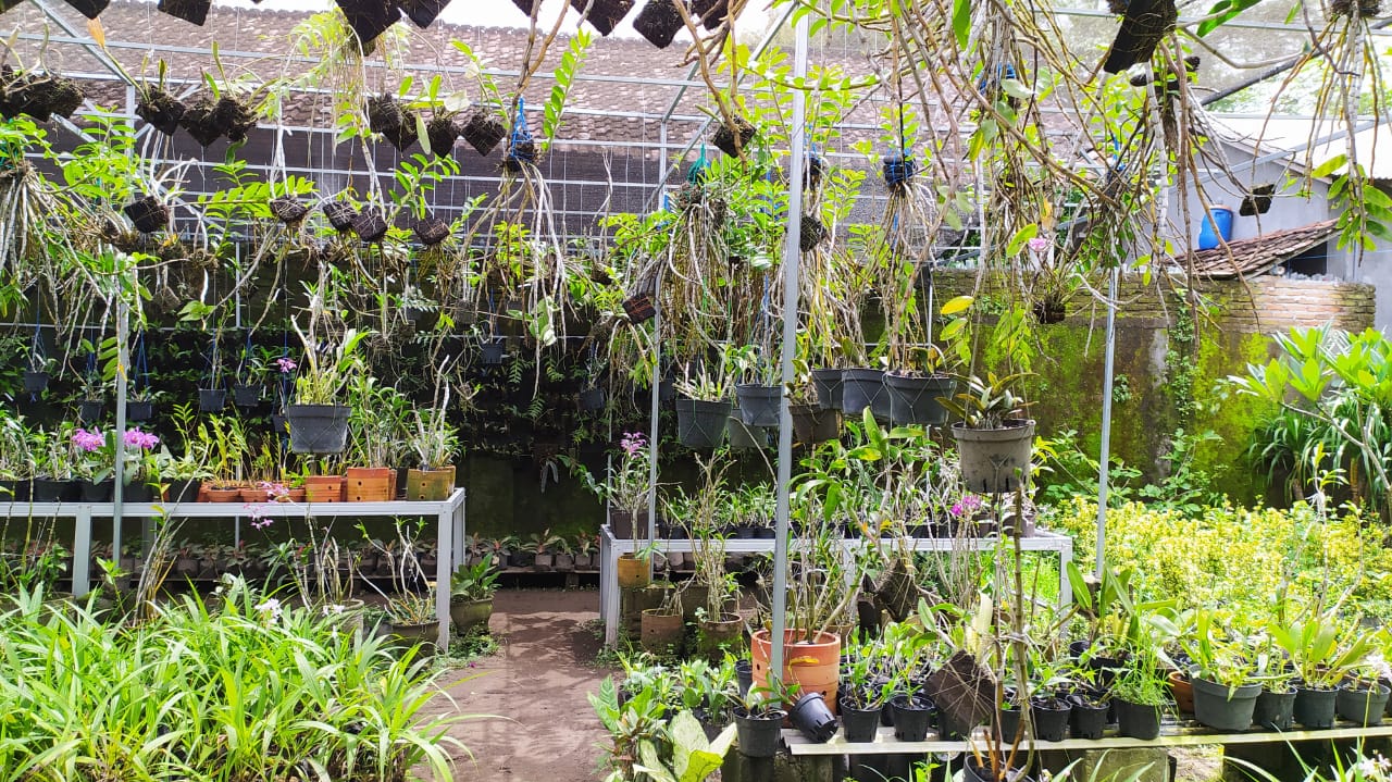 Pesona Anggrek Kediri Siap Dukung Kampung Florikultura
