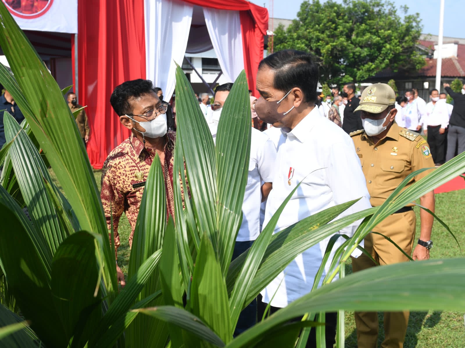 Presiden Bersyukur Harga dan Produksi Pertanian Terjaga Dengan Baik