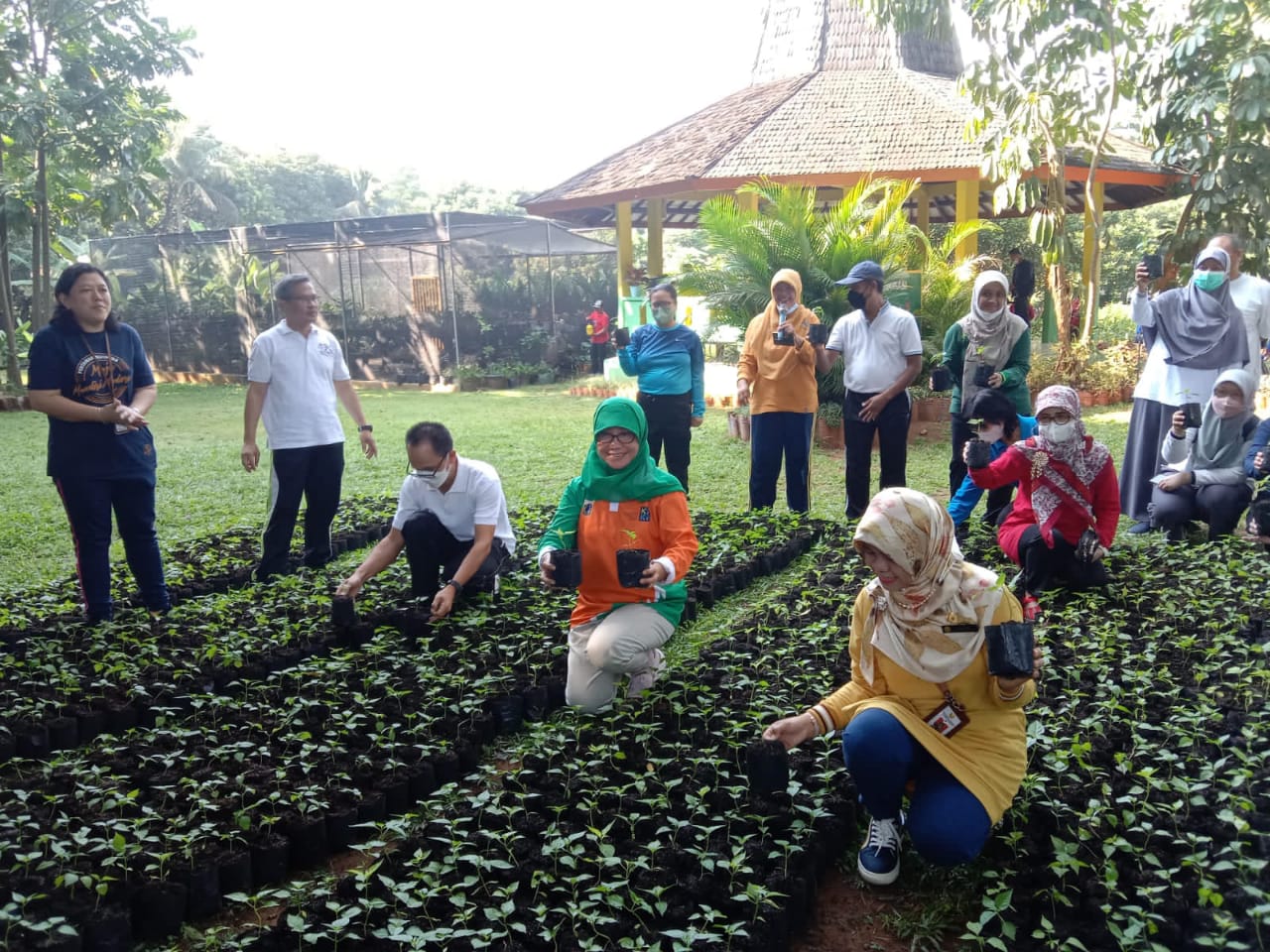 Antisipasi Inflasi akibat Tingginya Harga Cabai, Kementan Bagikan Benih Cabai untuk Masyarakat Jakarta