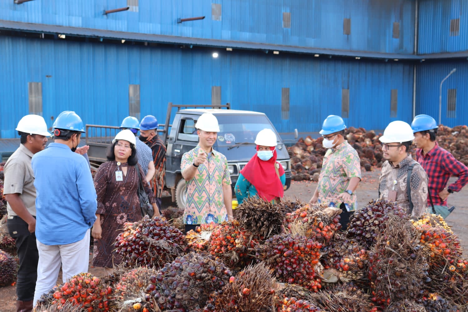 Pungutan Ekspor Dibebaskan, Sudahkah Berdampak Signifikan Terhadap Harga TBS Pekebun ?