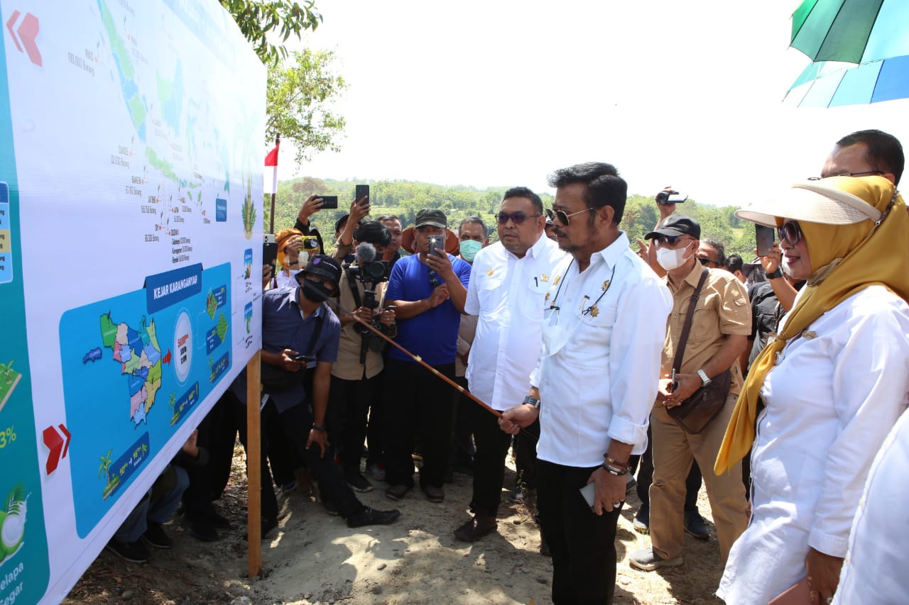 Mentan SYL Tinjau Lokasi Pengembangan Kelapa Genjah di Karanganyar
