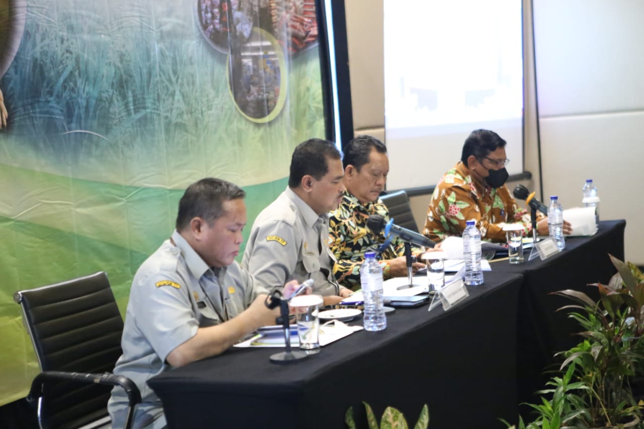 BPS:Periode 2019 Sampai Juni 2022, Cadangan Beras Nasional Surplus