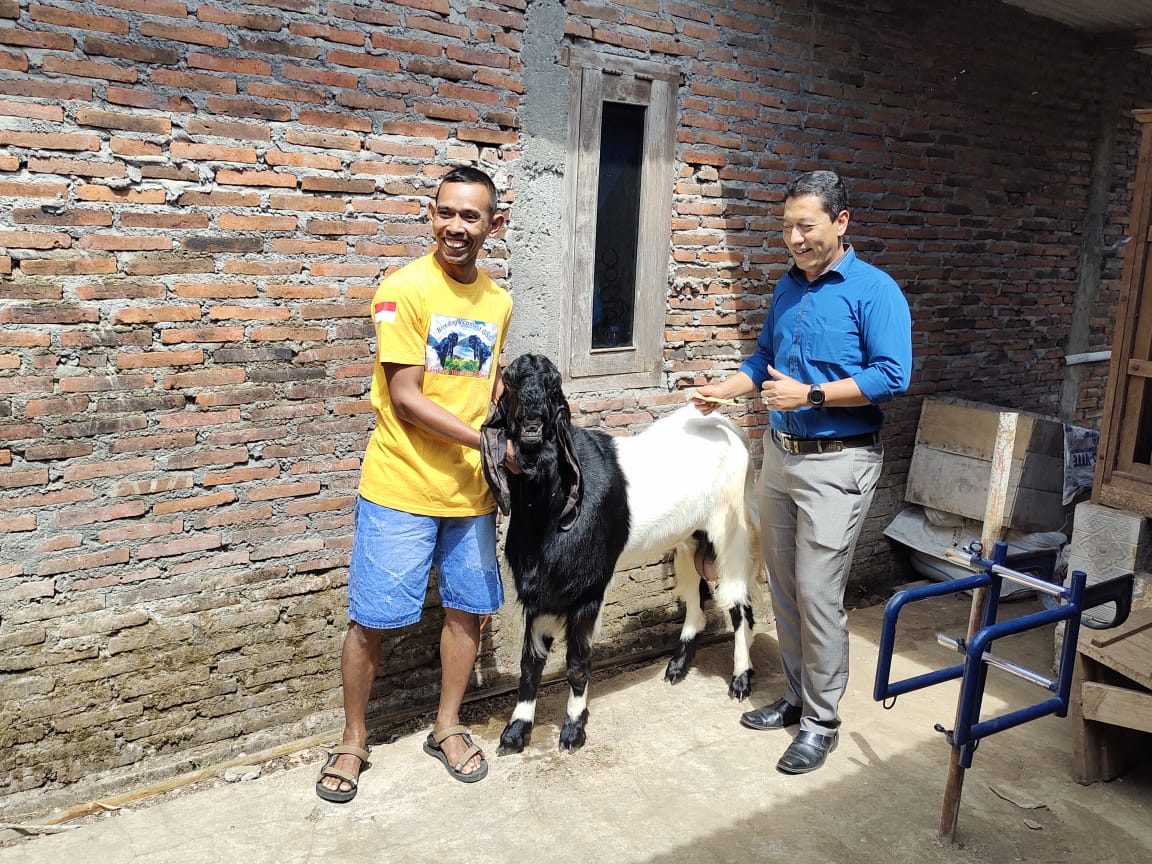 Kementan Gandeng Perbankan, Fasilitasi KUR Untuk Usaha Pembibitan dan Budidaya Ternak Kambing dan Domba
