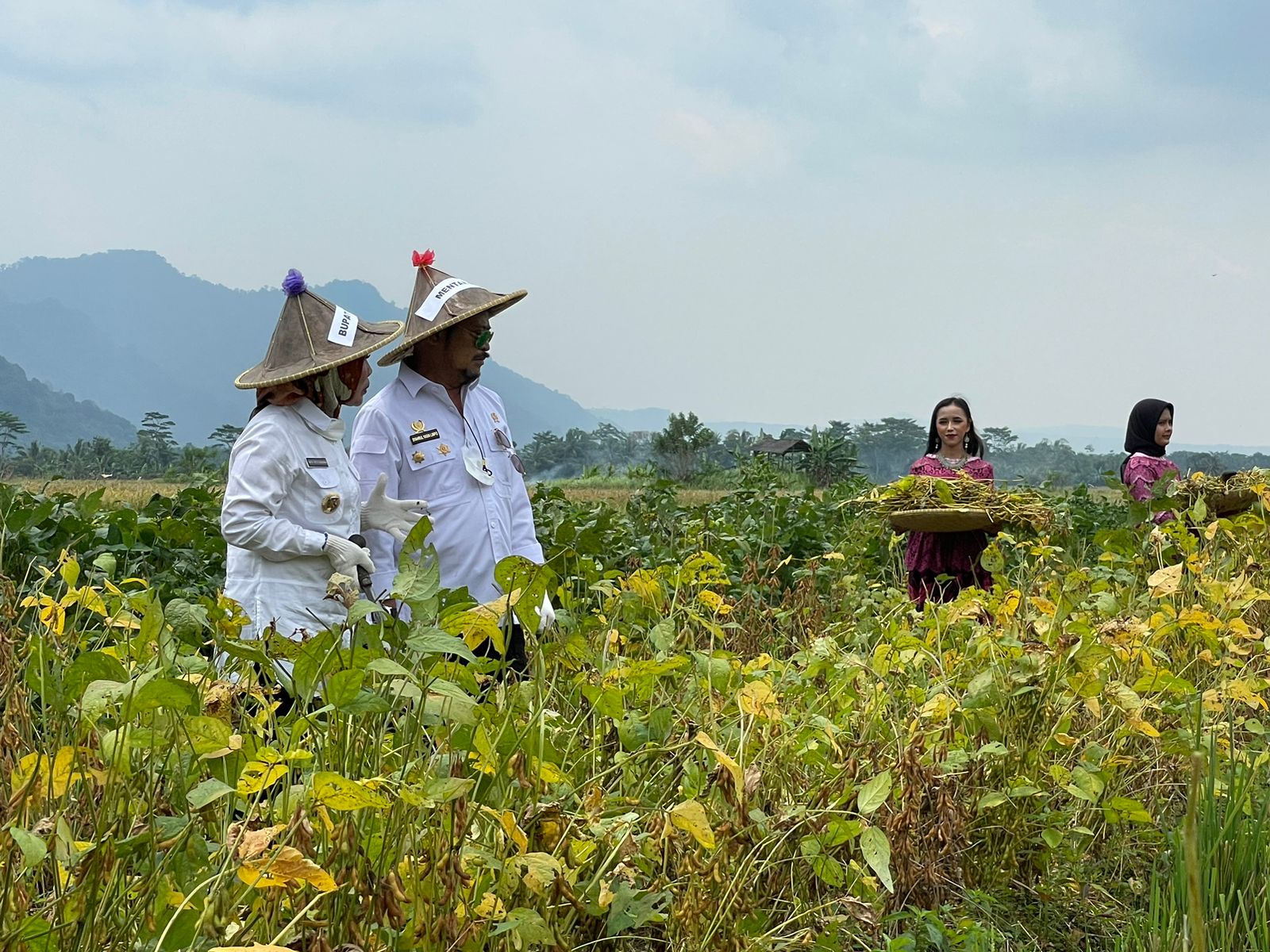 Mentan: Provinsi Banten Mampu Hasilkan Produk Kedelai Lokal Berkualitas