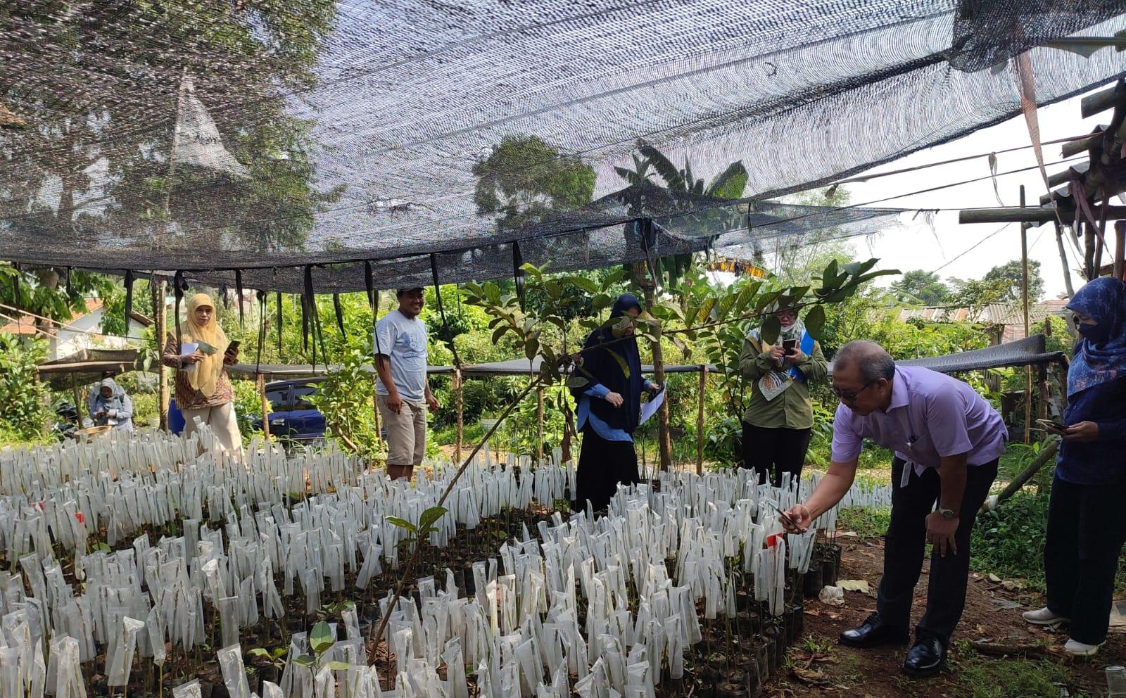 Dukung Kampung Buah, Kementan Percayakan Produksi 44 Ribu Benih Alpukat dari Produsen Benih Milenial