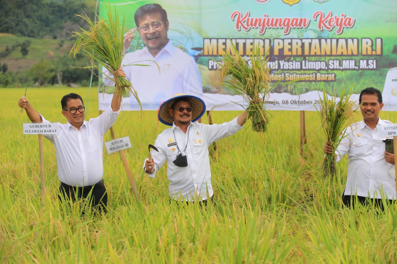 Mentan SYL Panen Padi dan Mulai Aplikasikan Biosaka di Mamuju