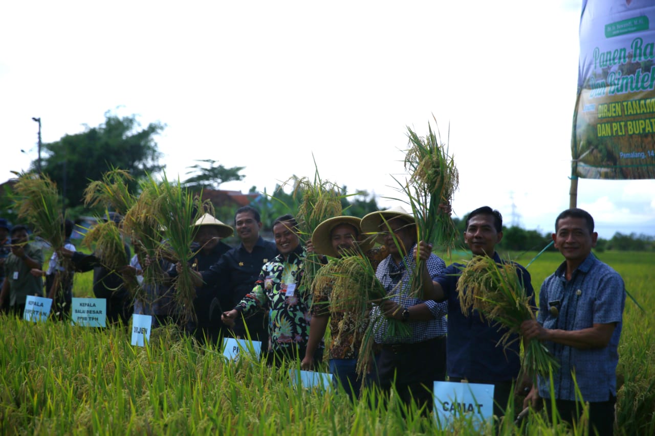 Panen Raya Padi di Pemalang, Kementan Kembali Sosialisasikan Bahan Alami Biosaka