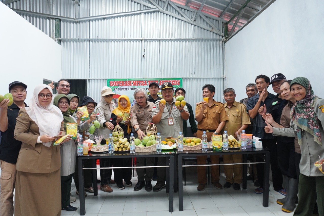 Sumedang Mempersiapkan Diri Ekspor Mangga ke Jepang