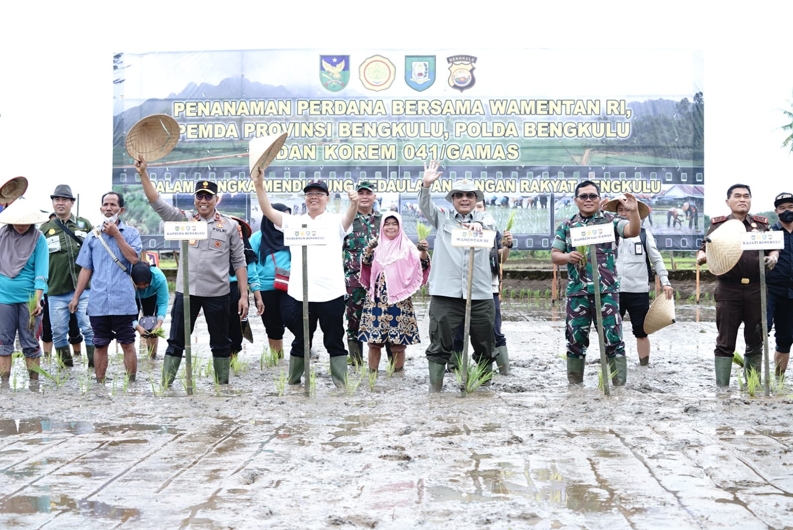 Wamentan Harvick Tanam Padi Serentak di Provinsi Bengkulu, Dorong Petani Tingkatkan Produksi