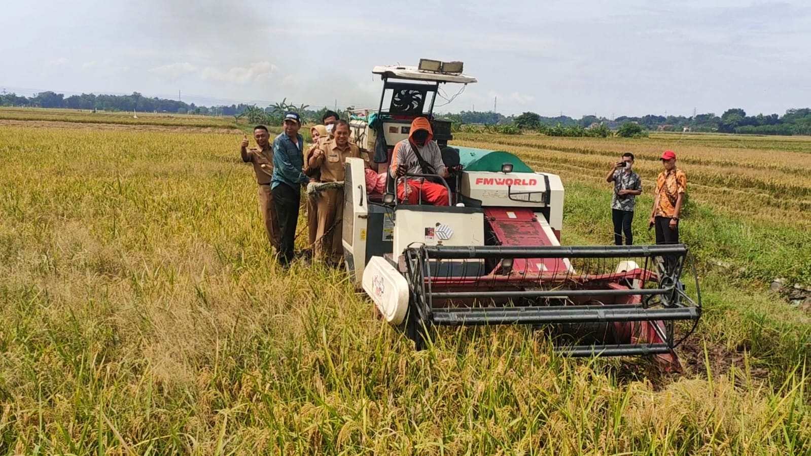 Di Saat Nataru,Jateng Sebagai Sentra Produksi Beras Nasional Siap Pasok Beras Ke Daerah Lain