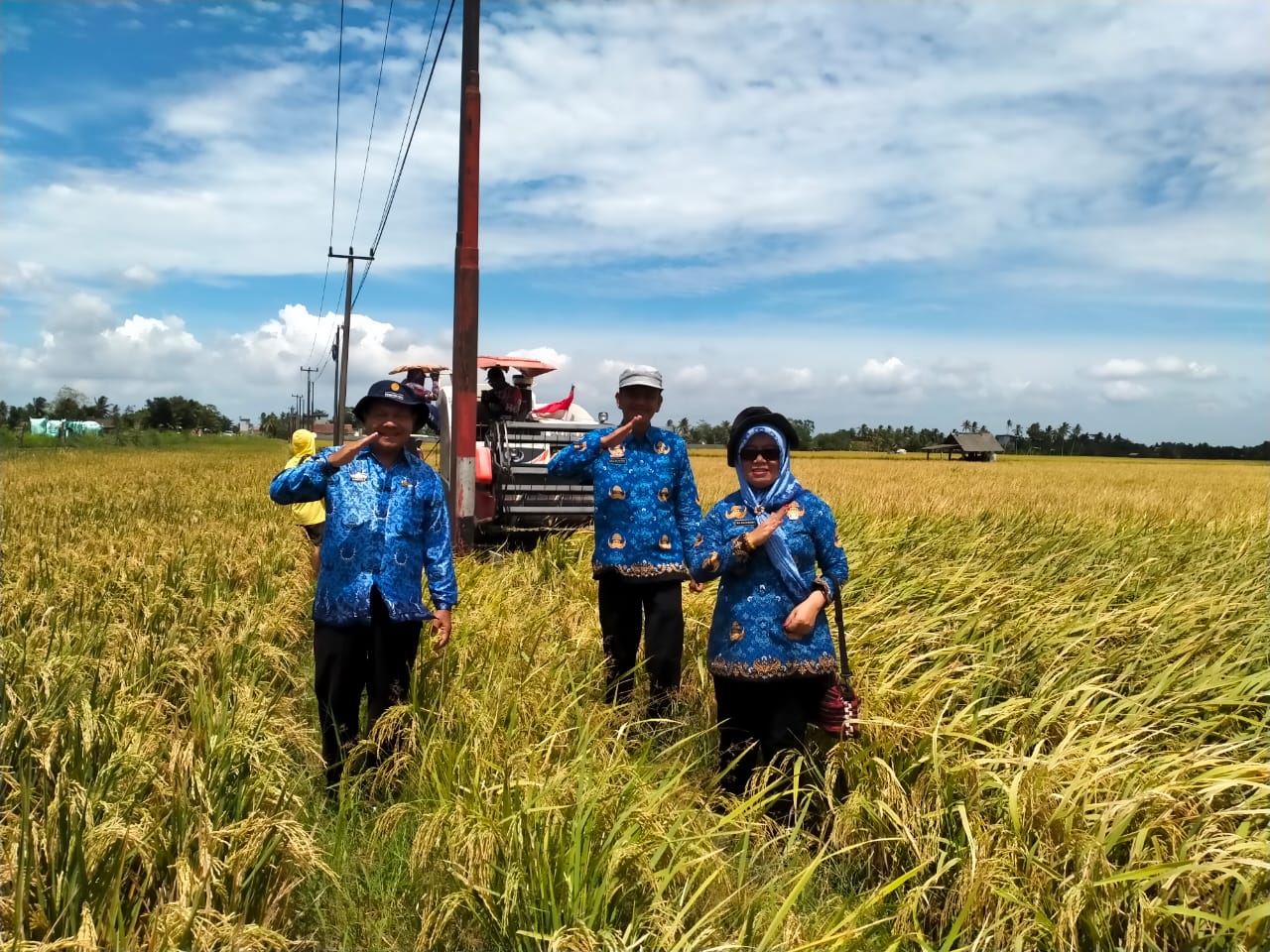 Lampung Provinsi Produsen Beras ke 6 Nasional, Setahun Surplus 1,34 juta ton Siap Saat Nataru