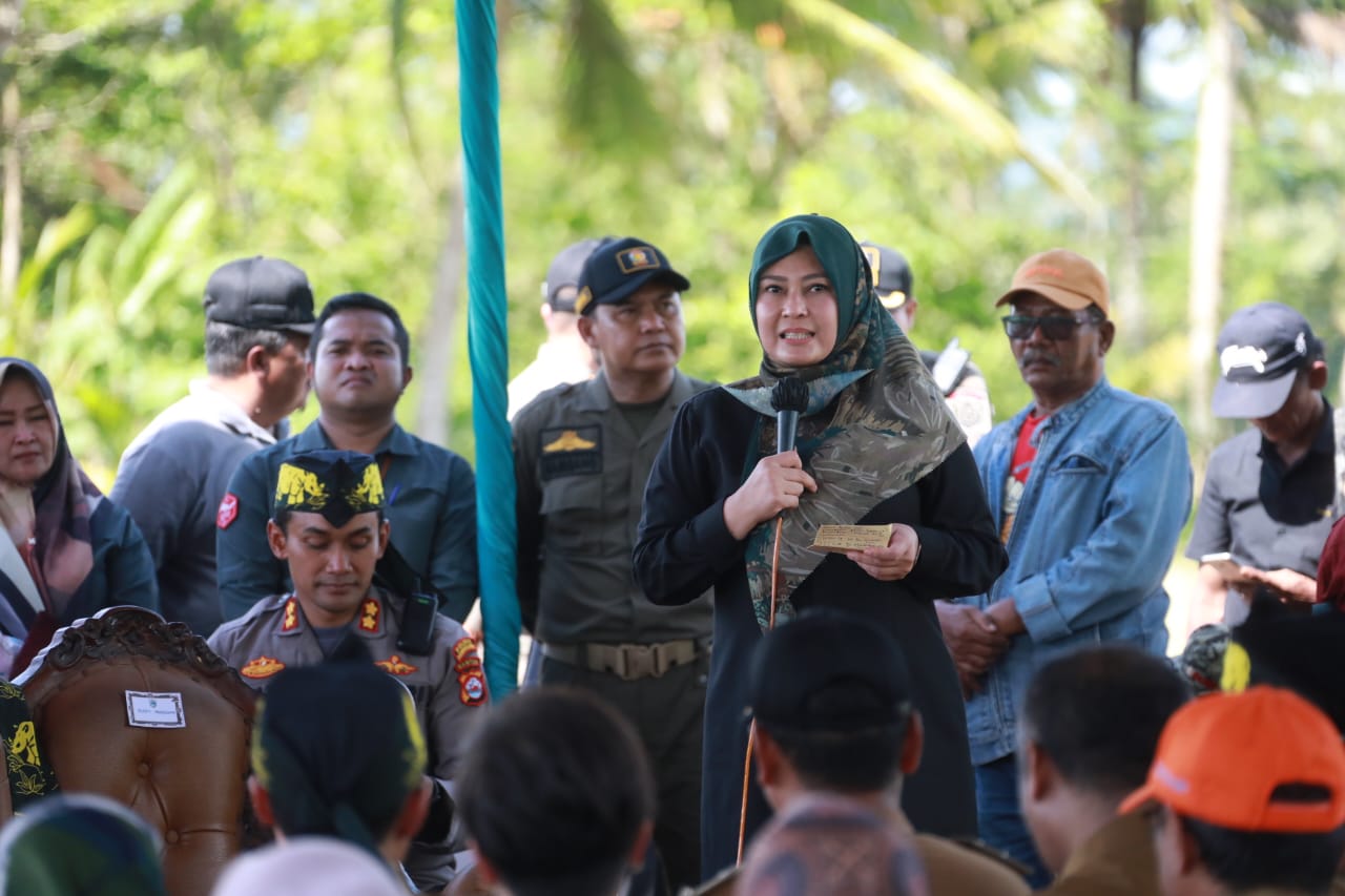 Panen Raya, Bupati Pandeglang Pastikan Beras di Pandeglang Melimpah