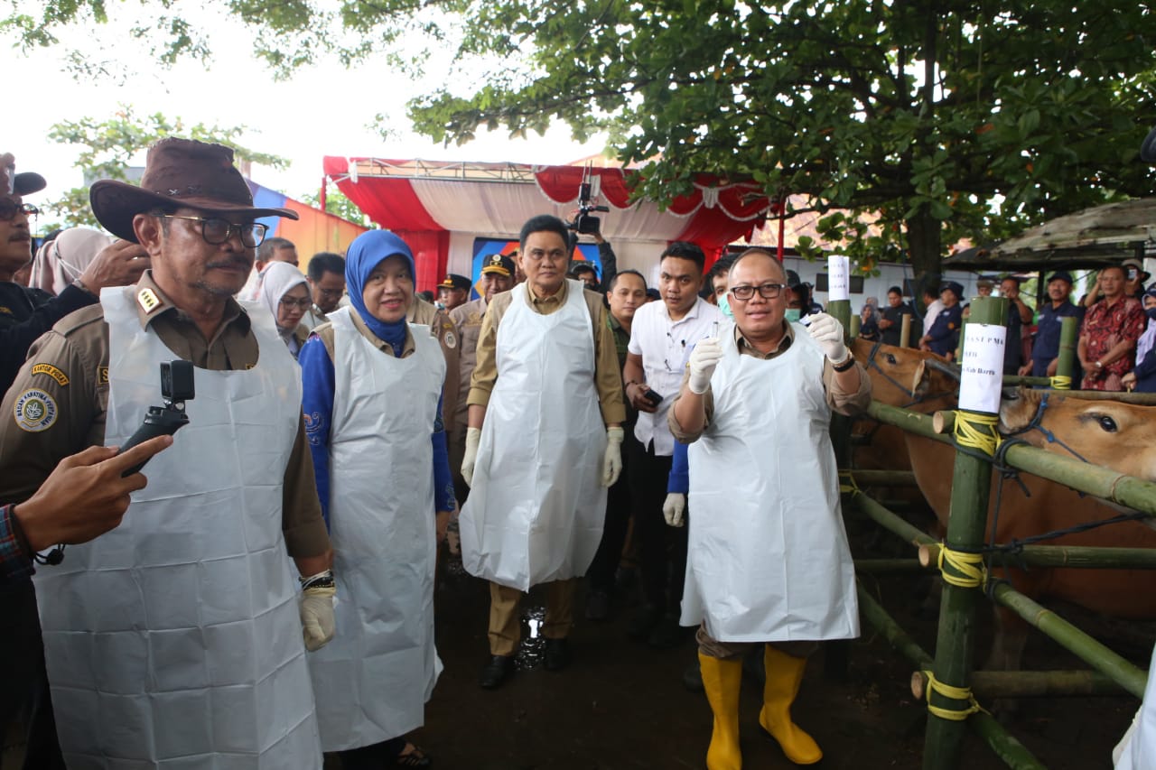 Putus PMK, Pemprov Jateng Targetkan 2,4 Juta Ternak divaksin Tahun ini