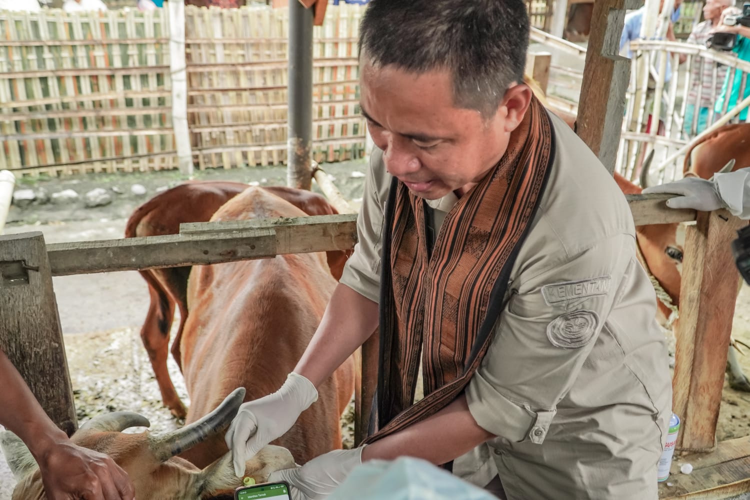 Komitmen Berantas PMK, Pemprov NTB Targetkan 1,4 juta ekor divaksin Tahun 2023