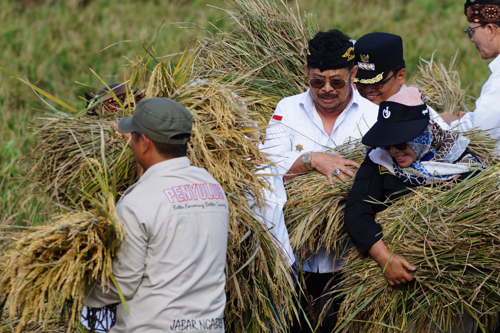 BPS: Panen Padi Kabupaten Bekasi Meningkat 3 Persen, Sangga Jabar dan DKI Jakarta