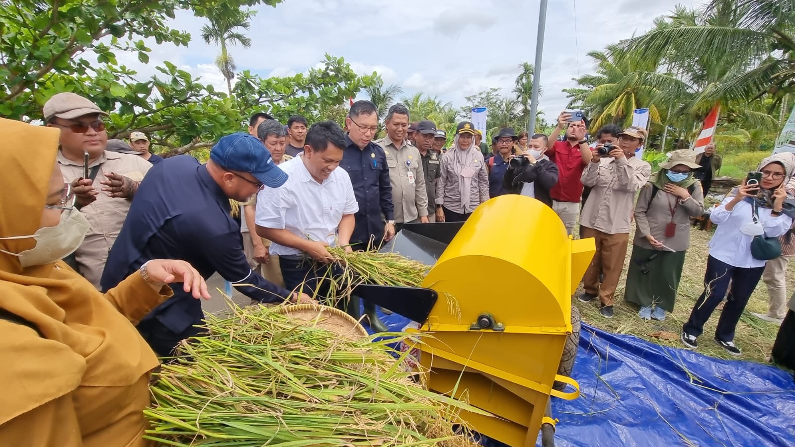 Panen Setiap Hari, Kalbar Pastikan Surplus Stok 317 Ribu Ton Beras 3 Bulan Kedepan