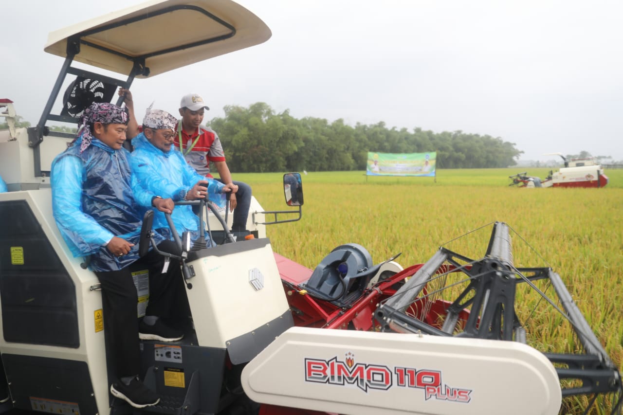 Panen Raya Padi di Lamongan Capai 7,3 Ton Perhektar