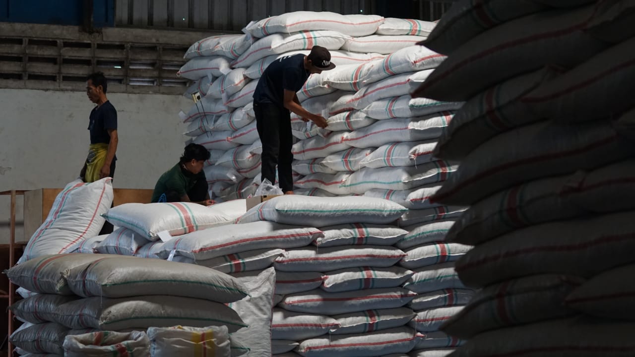 Kementan Lepas Ekspor Kapulaga Bernilai Ratusan Juta Rupiah ke Tiongkok