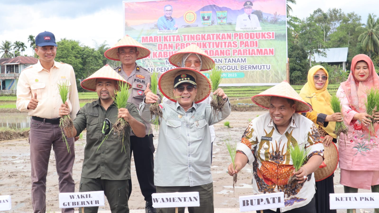 Wujudkan Akselerasi Ketahanan Pangan, Wamentan Tanam Padi dan Panen Jagung di Padang Pariaman